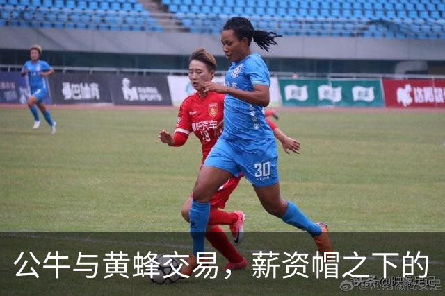 公牛与黄蜂交易，薪资帽之下的“花式社交