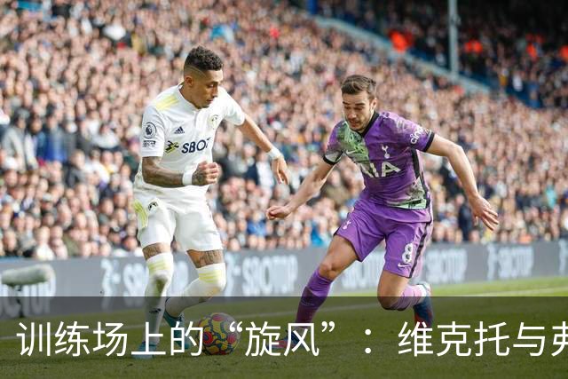训练场上的“旋风”：维克托与弗里克的激烈较量